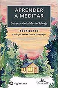 APRENDER A MEDITAR ENTRENANDO LA MENTE