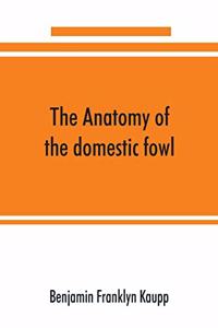 anatomy of the domestic fowl