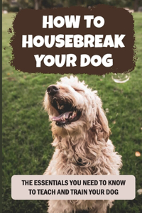 How to Housebreak Your Dog