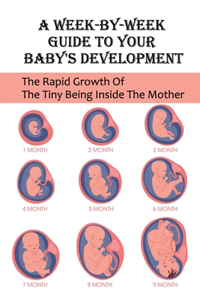 A Week-By-Week Guide To Your Baby's Development