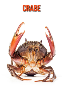 Crabe