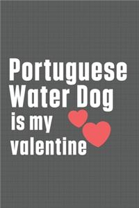 Portuguese Water Dog is my valentine: For Portuguese Watchdog Fans