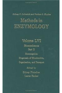 Biomembranes, Part G: Bioenergetics: Biogenesis of Mitochondria, Organization, and Transport