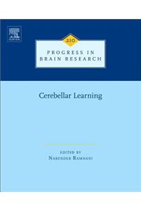 Cerebellar Learning