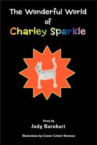 Wonderful World of Charley Sparkle