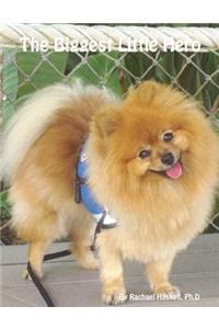 The Biggest Little Hero