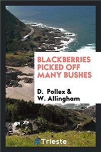 BLACKBERRIES PICKED OFF MANY BUSHES