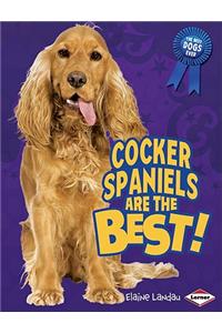 Cocker Spaniels Are the Best!