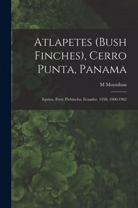 Atlapetes (Bush Finches), Cerro Punta, Panama; Iquitos, Peru; Pichincha, Ecuador, 1958, 1960-1962