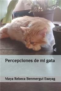 Percepciones de mi gata