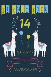 It Only Took 14 Year to be this Awesome