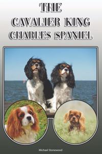 The Cavalier King Charles Spaniel