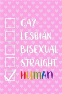 Gay Lesbian Bisexual Straight Human