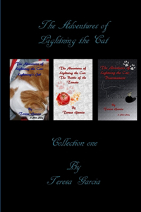 Adventures of Lightning the Cat