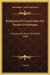 Restauration Et Conservation Des Terrains En Montagne