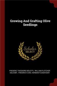 Growing and Grafting Olive Seedlings