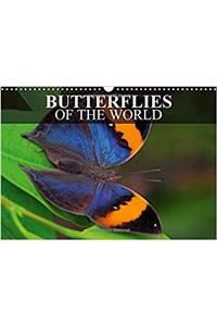 Butterflies of the World 2017