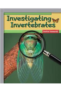 Rigby Flying Colors: Leveled Reader Bookroom Package Silver Investigating Invertebrates