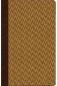 ESV Ultra Thin Bible
