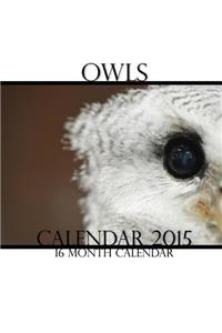Owls Calendar 2015