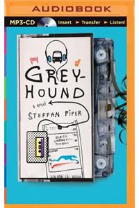 Greyhound