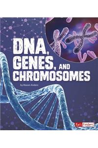 Dna, Genes, and Chromosomes