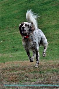 English Setter Affirmations Workbook English Setter Presents