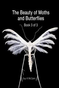 The Beauty of Moths and Butterflies: Book 3 of 3