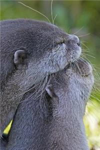 Two Loving Otters Journal