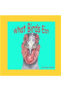 What Birds Eat
