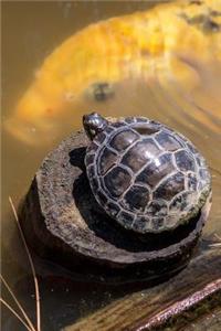 Little Turtle on a Stump and a Fish in the Pond Journal