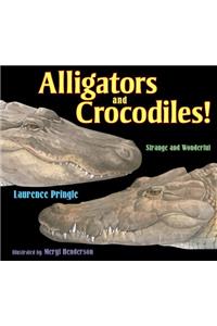 Alligators and Crocodiles!