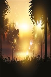 Palms in the morning sun