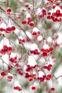 2020 Daily Planner Winter Berries Red White Christmas Colors Snowstorm 388 Pages
