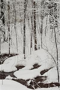 2020 Daily Planner Winter Scenic Snow Stream 388 Pages