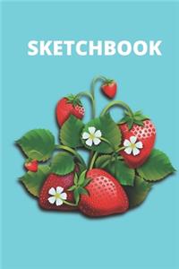 funny strawberry sketchbook