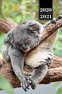 Koala Bear Rainforest Week Planner Weekly Organizer Calendar 2020 / 2021 - Hanging on Branch