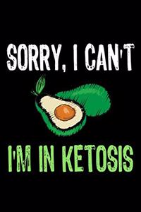 Sorry I Can't I'm in Ketosis for Avocado Lover