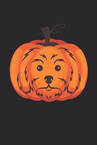Maltese Notebook - Halloween Maltese Journal - Maltese Gift for Dog Lovers - Maltese Diary