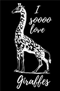 I soooo love Giraffes