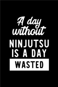 A Day Without Ninjutsu Is A Day Wasted
