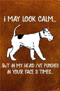 I May Look Calm But In My Head I've Punched In Your Face 3 Times