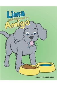Lima Está Buscando Un Amigo