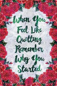 When You Feel Like Quitting Remember Why You Started