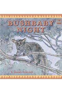 Bushbaby night