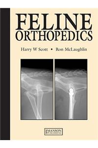 Feline Orthopedics