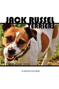 Jack Russel Terriers Calendar 2018