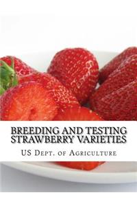 Breeding and Testing Strawberry Varieties