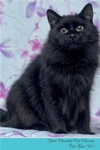 York Chocolate Cat Presents