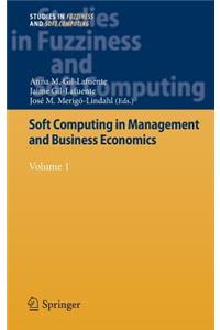 Soft Computing in Management and Business Economics